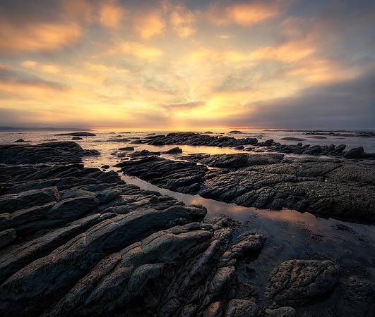 Ocean Harmony